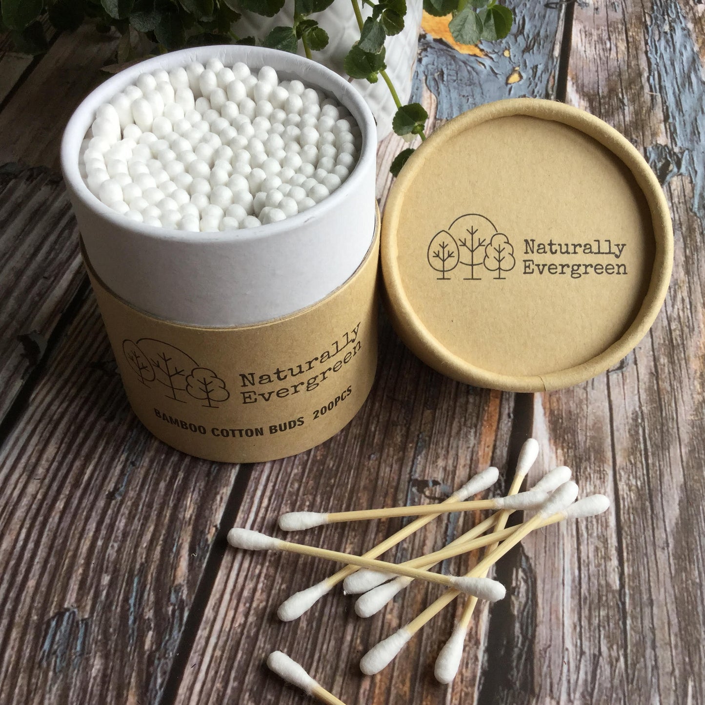 Bamboo Cotton Buds