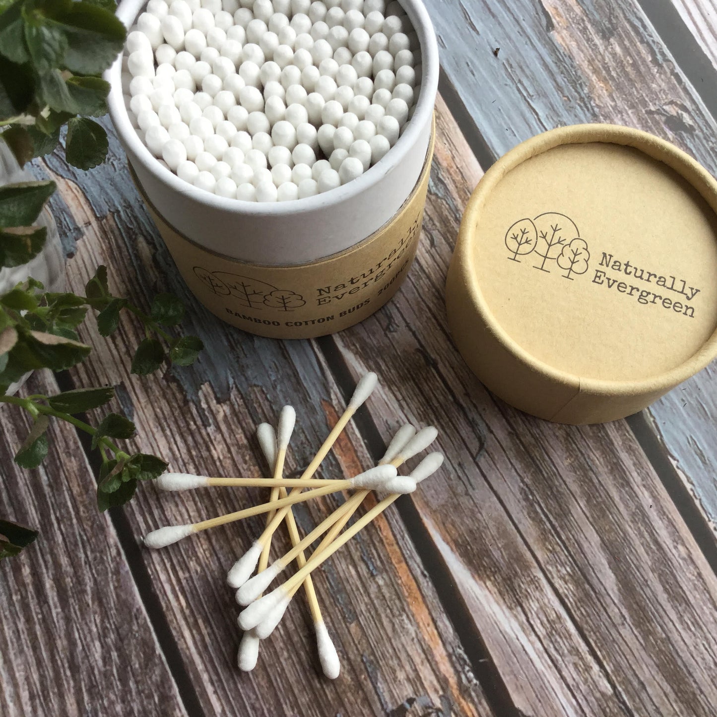 Bamboo Cotton Buds